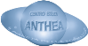 logo centro studi anthea