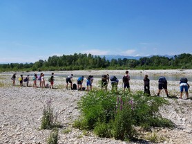 conoscere-ed-ammirare-il-piave....jpg