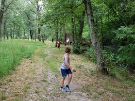 escursione-bosco-anthea-summer-camp-px-1.jpg
